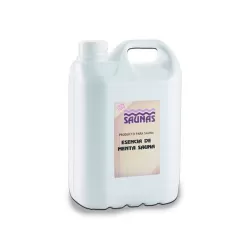 Esencia de menta para saunas en 25 litros CTX 83