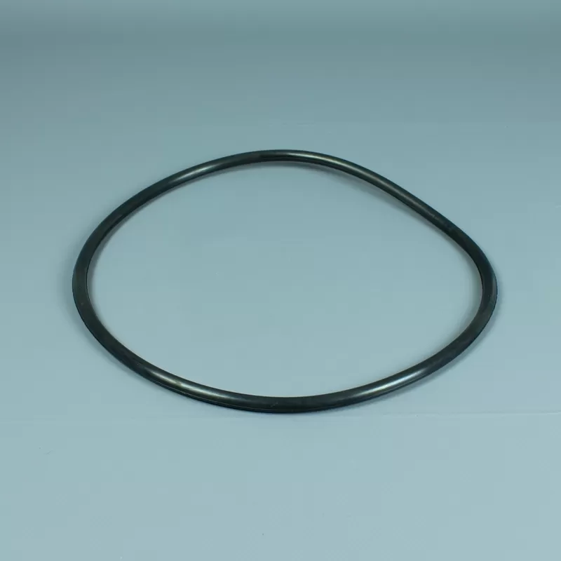 Junta tapa filtro Astralpool