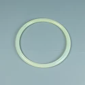 Replacement filter Astralpool Rapid Cover Gasket