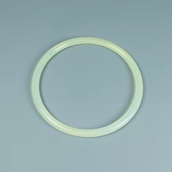 Junta tapa filtro Astralpool