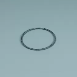 Recambio ESPA Bomba Niper 1 Junta tórica prefiltro