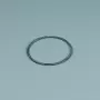 Ersatzteil ESPA Pumpe Vorfilter O-Ring