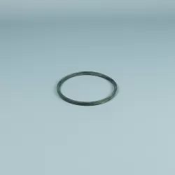 Recambio ESPA Bomba Iris Junta tórica prefiltro nueva