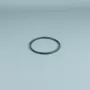 Peça sobressalente ESPA Pump Pré-filtro O-ring novo