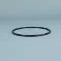 Reserveonderdeel ESPA Pomp voorfilter O-ring oud