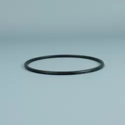 Recambio ESPA Bomba Silen Junta tórica prefiltro antigua