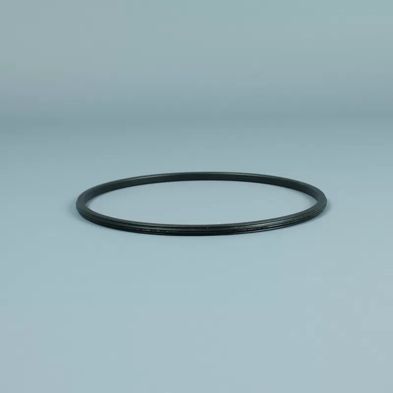 Recambio ESPA Bomba Silen Junta tórica prefiltro antigua