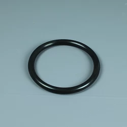 Recambio Astralpool Foco nicho Junta tórica lámpara