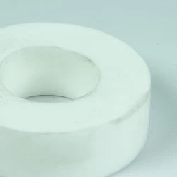 Recambio limpiafondos Dolphin Anillo espuma cepillo combinado