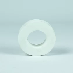 Recambio limpiafondos Dolphin Anillo espuma cepillo combinado