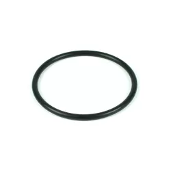 Recambio clorador Zodiac Junta tórica para electrodo