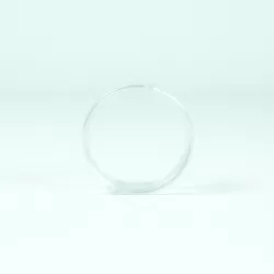 Recambio limpiafondos Zodiac Clip fijación de esponja