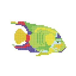 Dibujo gresite HT-K Pez verde