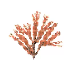 Dibujo gresite HT-K Fucus rojo