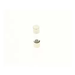 Recambio clorador Zodiac TRi  Fusible M205 2,5 A T