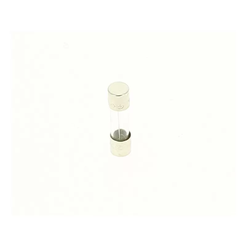 Recambio clorador Zodiac TRi Fusible M205 2,5 A T