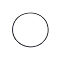 Peça sobressalente Astralpool O-ring da bomba D.192 x 5 mm