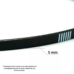 Recambio Zodiac Indigo  Correa de transmisi