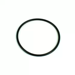 Recambio clorador BSV Junta de goma