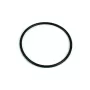 Replacement chlorinator BSV Rubber gasket