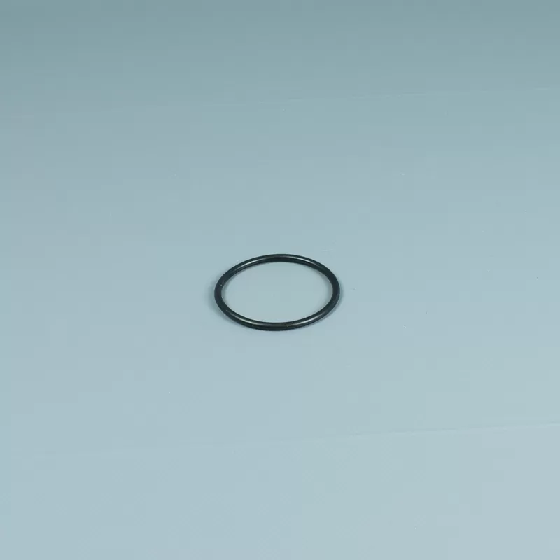 Recambio ESPA Bomba Junta raccord de conexión