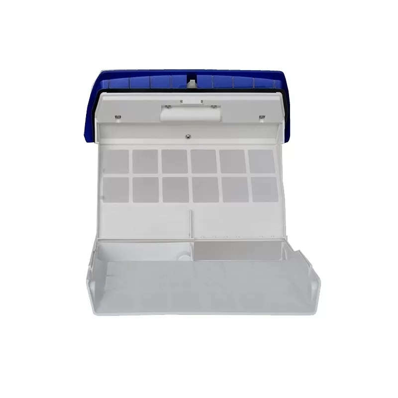 Repuestos Pulit Advance+ Set elemento filtrante fino (2 unids.)