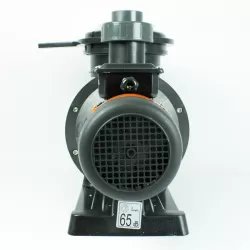 Bomba Alaska plus 3 CV 230 V Tri