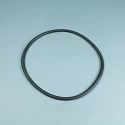 Coral Filtre de remplacement Joint du couvercle standard