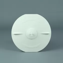 Skimmer recambio tapa cesto con tap