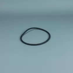 Junta prefiltro bomba Astralpool