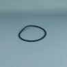 Junta prefiltro bomba Astralpool