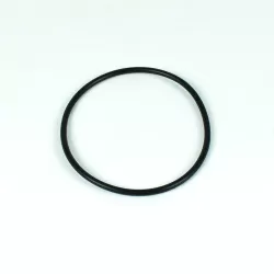 Recambio clorador Zodiac TRi  Junta t